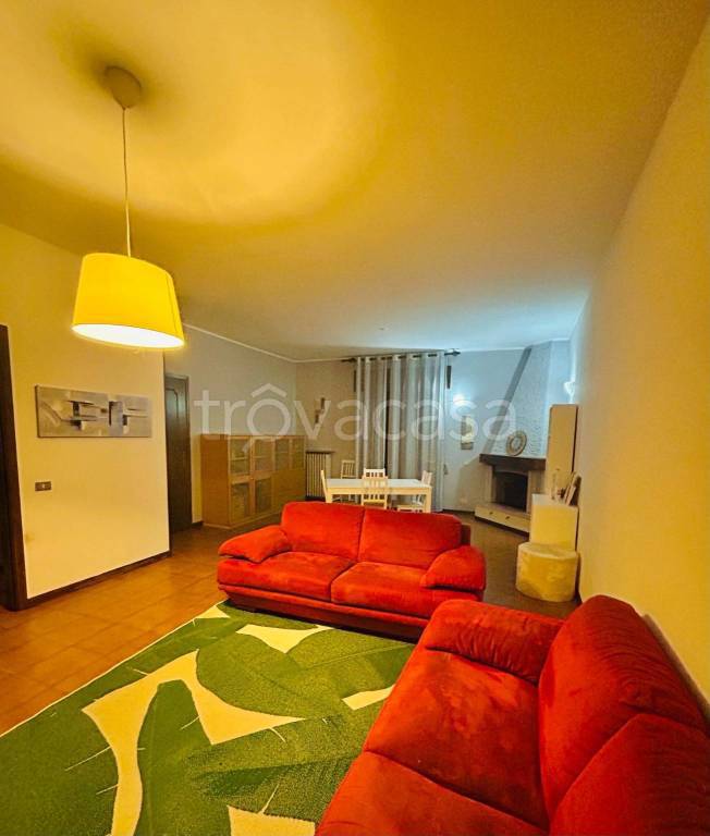 immagine annuncio 1 di 14