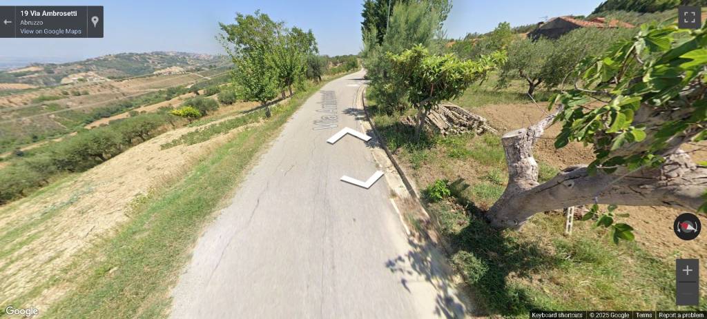immagine annuncio 7 di 14