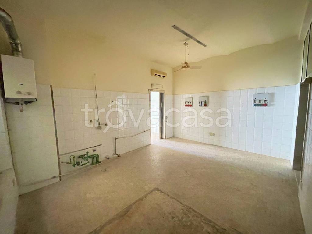 immagine annuncio 3 di 7