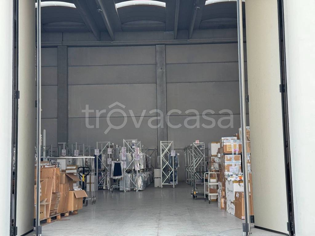 immagine annuncio 12 di 14