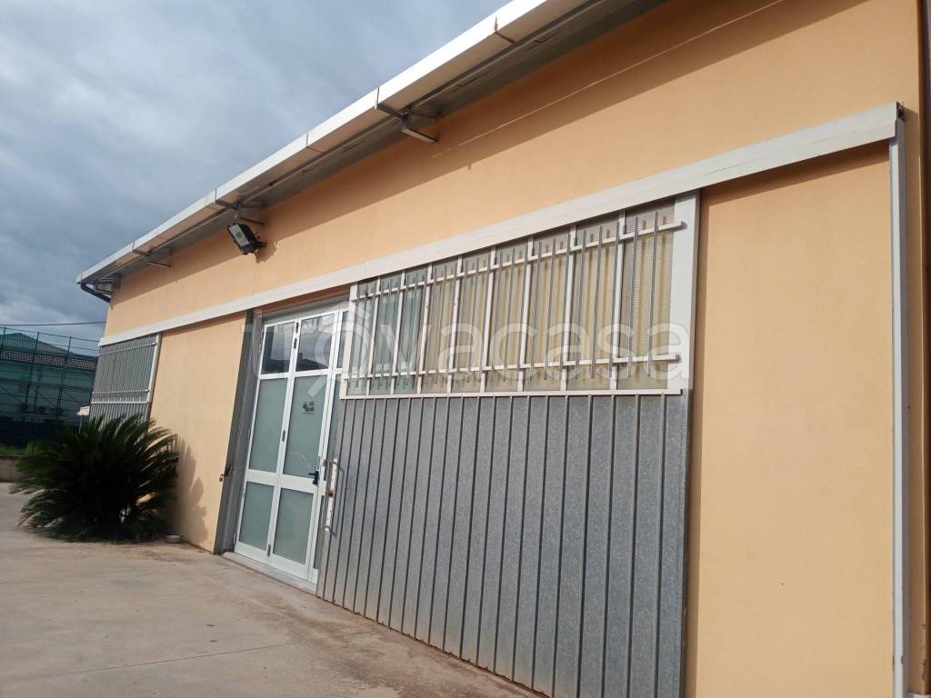 immagine annuncio 7 di 12