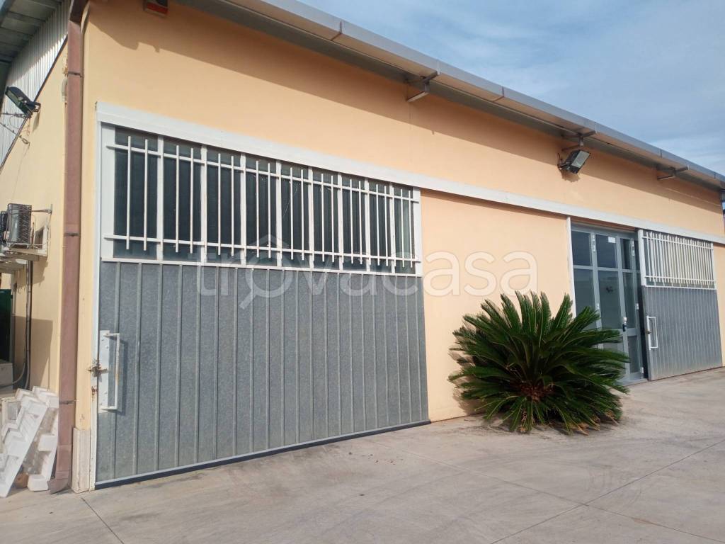 immagine annuncio 8 di 12