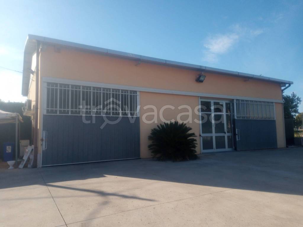 immagine annuncio 9 di 12