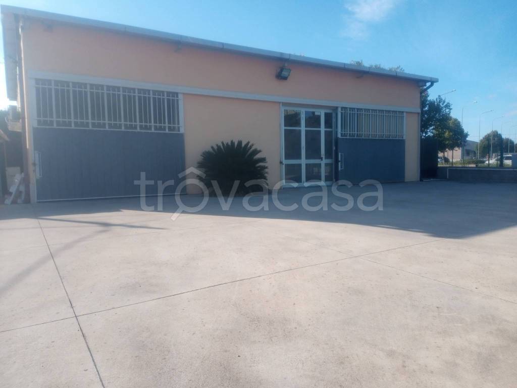 immagine annuncio 10 di 12