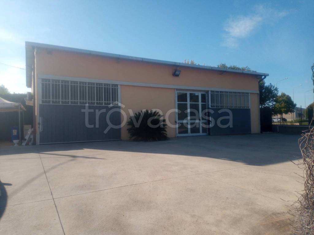 immagine annuncio 11 di 12