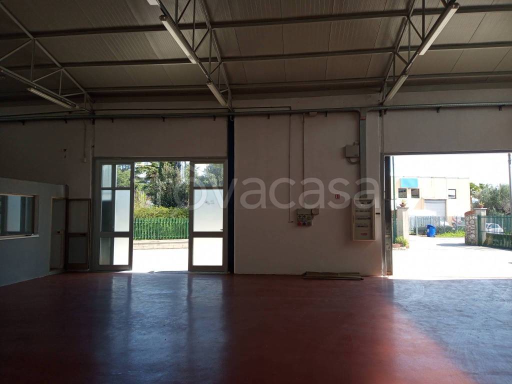 immagine annuncio 2 di 12