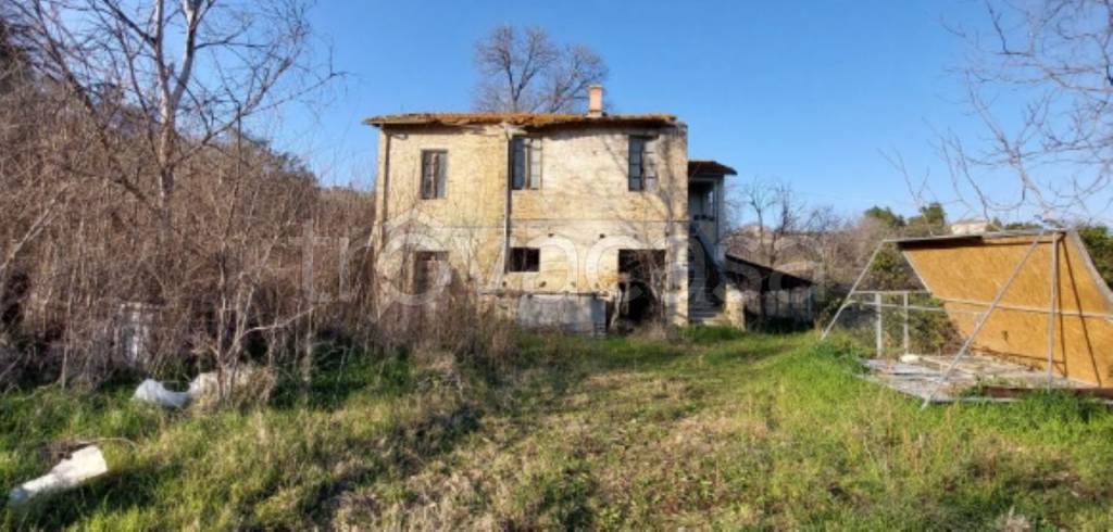 immagine annuncio 3 di 11