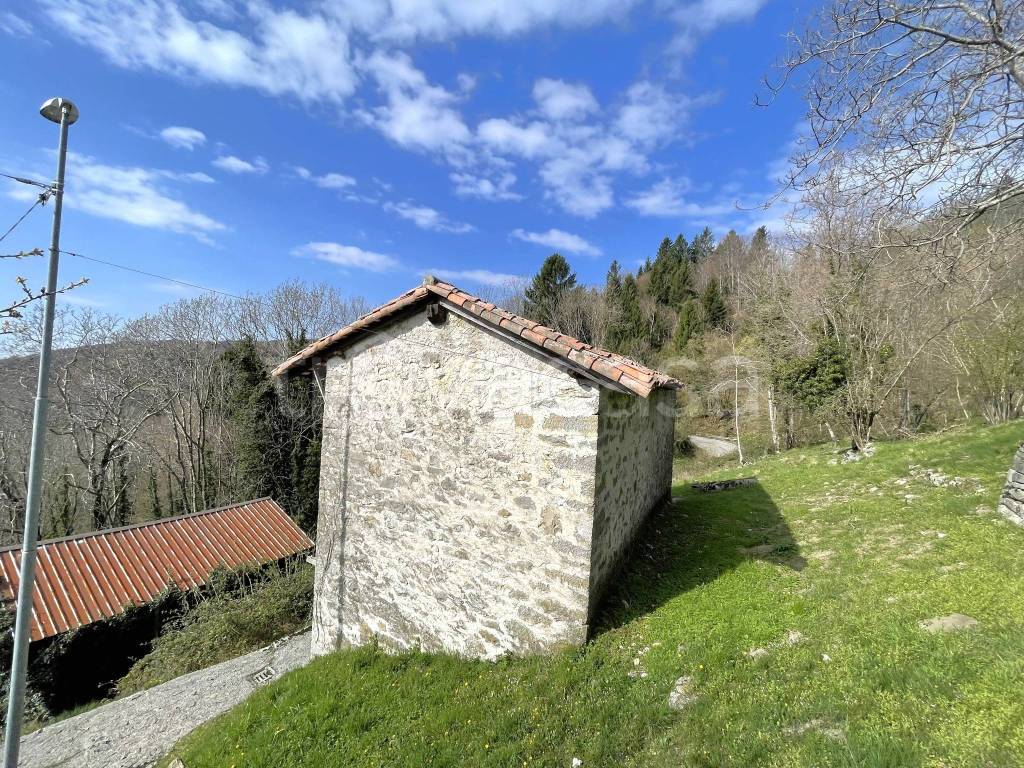 immagine annuncio 2 di 9