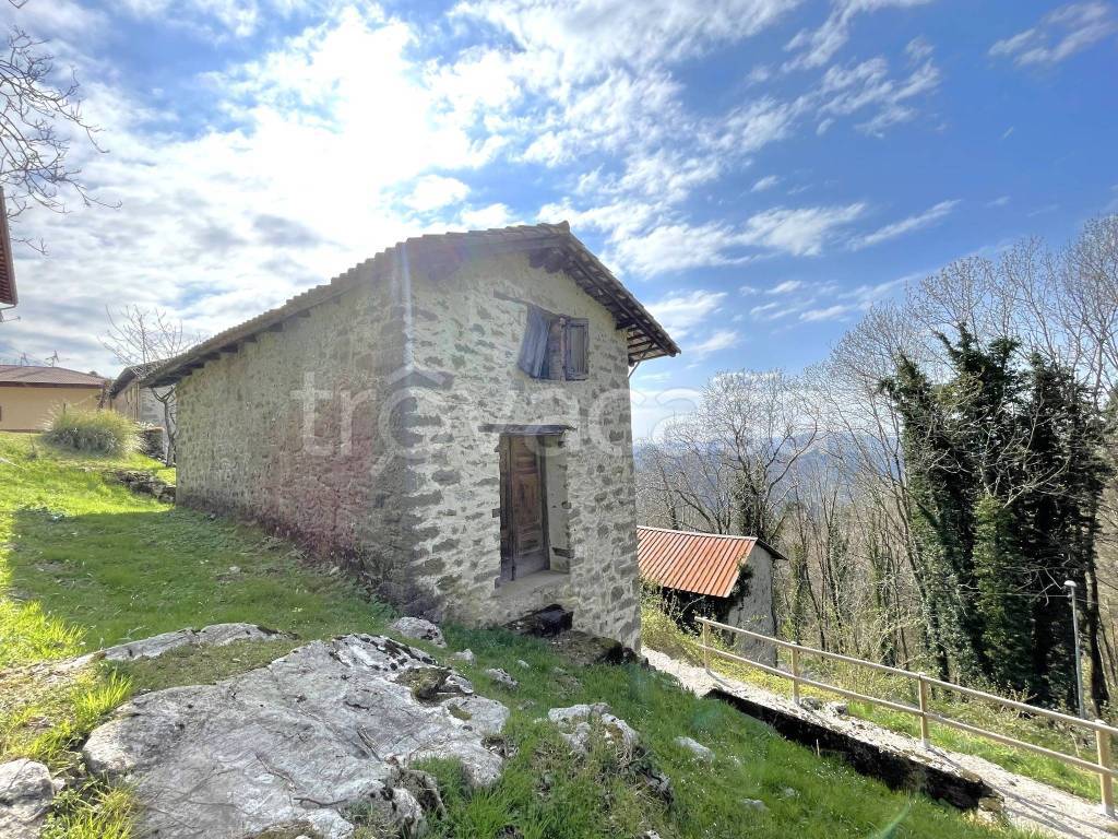 immagine annuncio 3 di 9