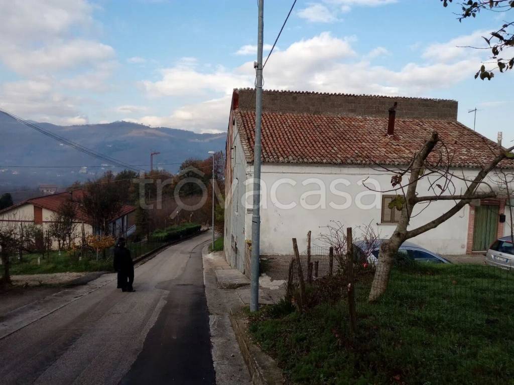 immagine annuncio 4 di 9