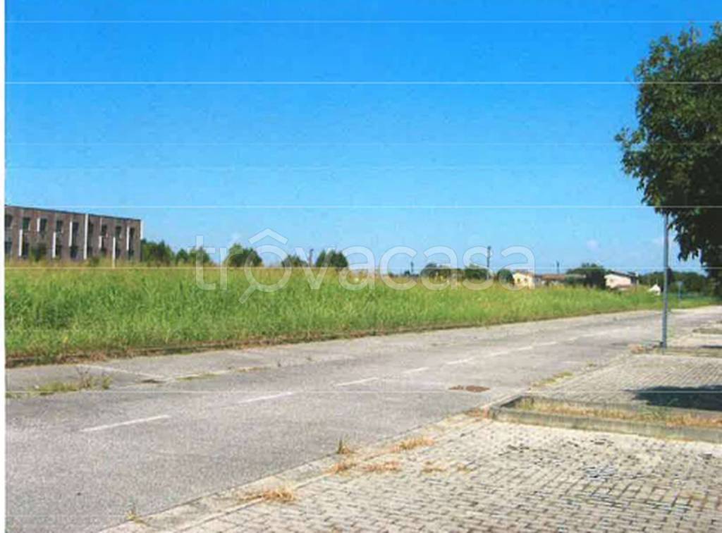 immagine annuncio 5 di 12