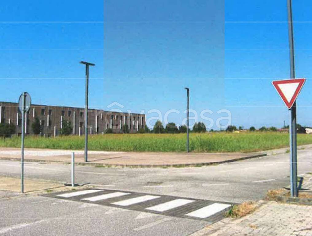 immagine annuncio 6 di 12