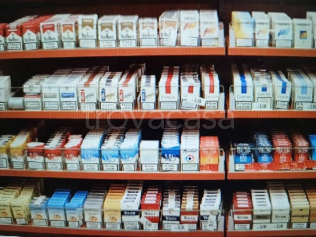 immagine annuncio 2 di 3