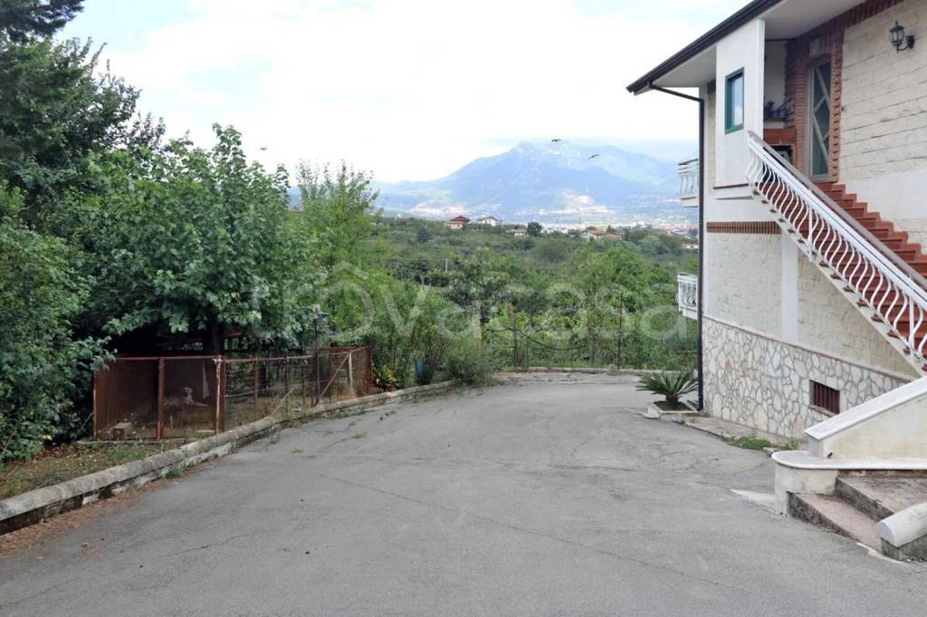 immagine annuncio 5 di 8