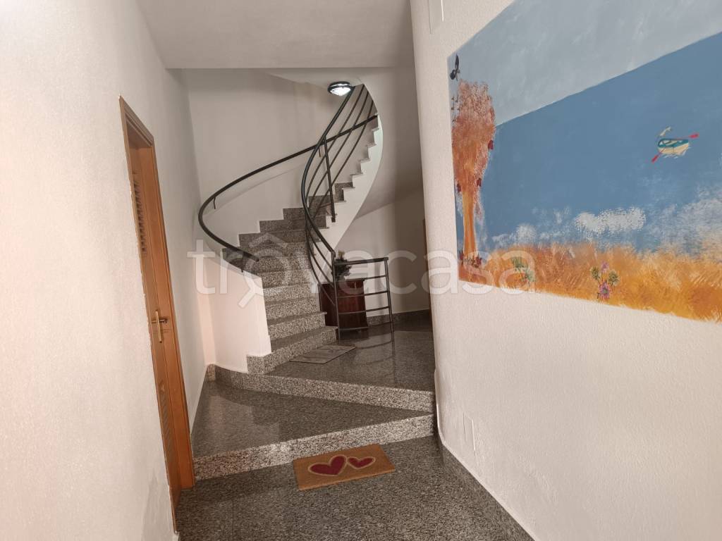 immagine annuncio 9 di 13