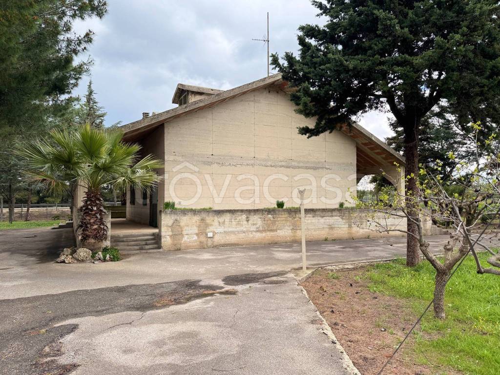 immagine annuncio 5 di 12