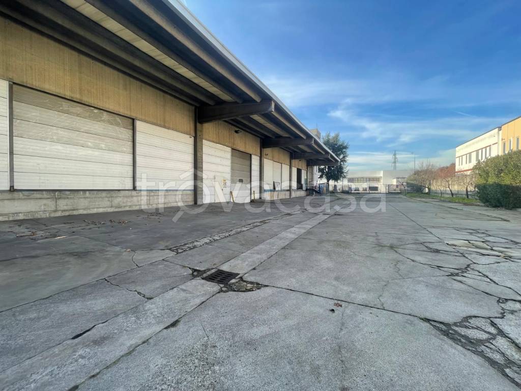 immagine annuncio 3 di 10