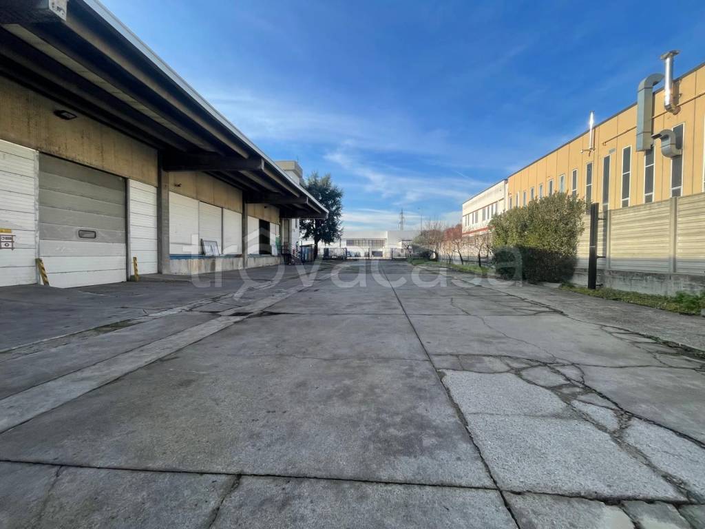 immagine annuncio 5 di 10