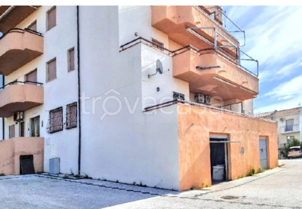 immagine annuncio 4 di 12