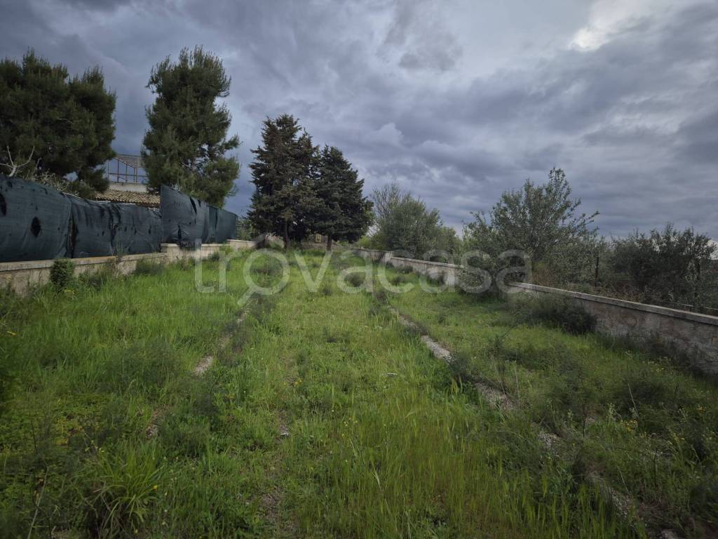 immagine annuncio 9 di 12