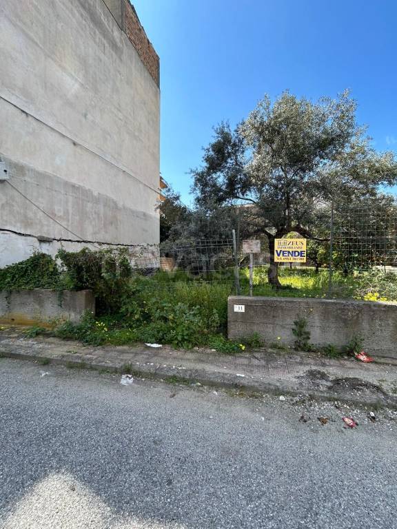 immagine annuncio 1 di 6