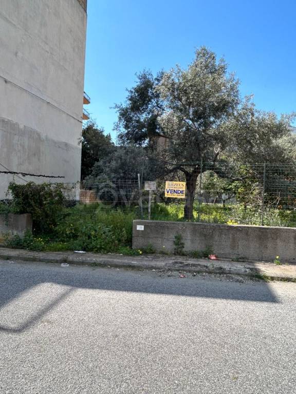 immagine annuncio 2 di 6