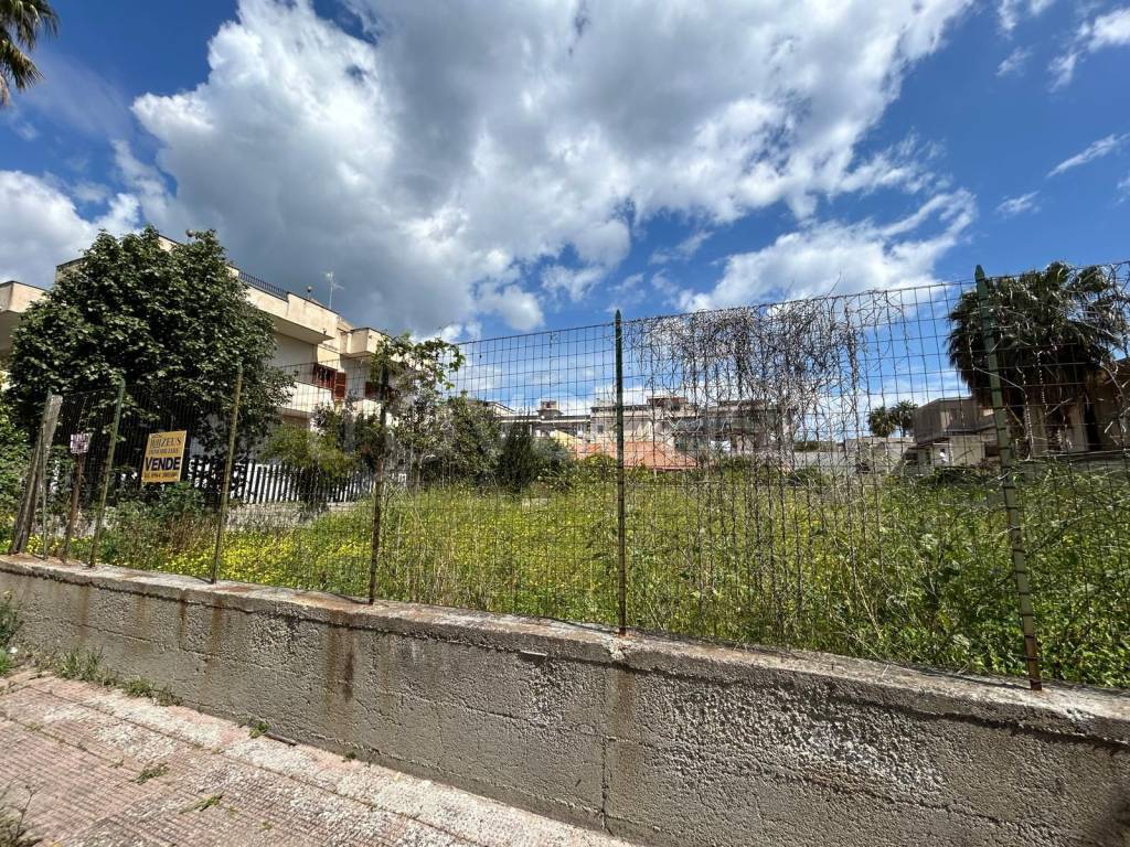 immagine annuncio 3 di 6