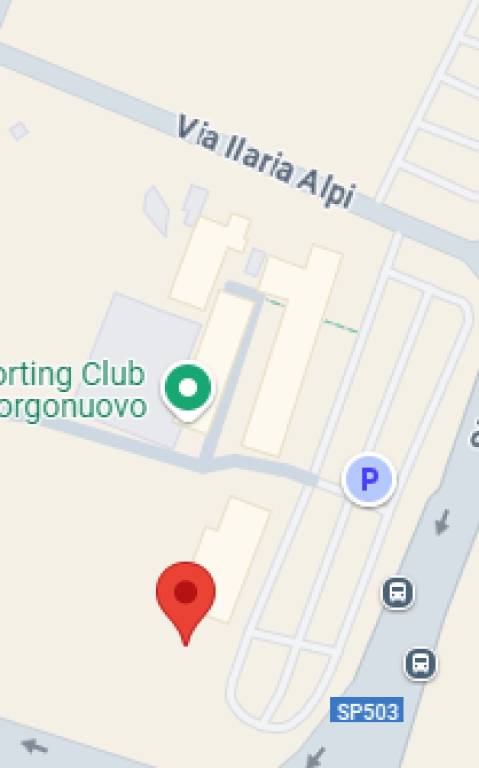 immagine annuncio 10 di 11