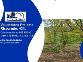 Terreno agricolo all'asta a buonconvento località resta