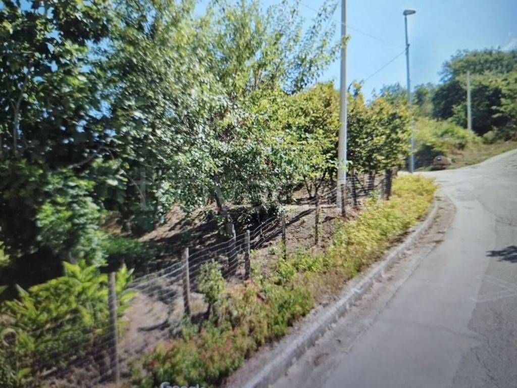 immagine annuncio 3 di 4