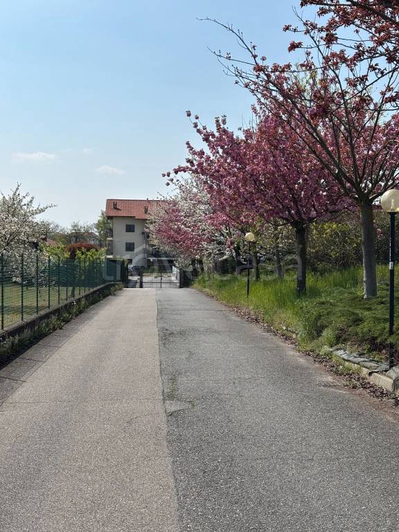 immagine annuncio 6 di 15
