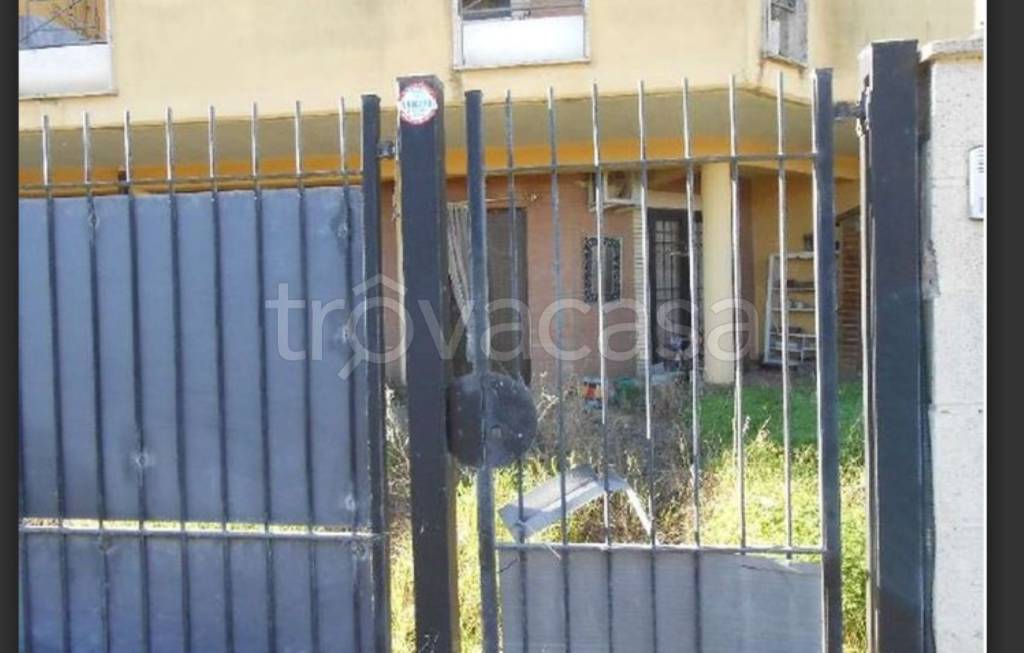 immagine annuncio 1 di 14