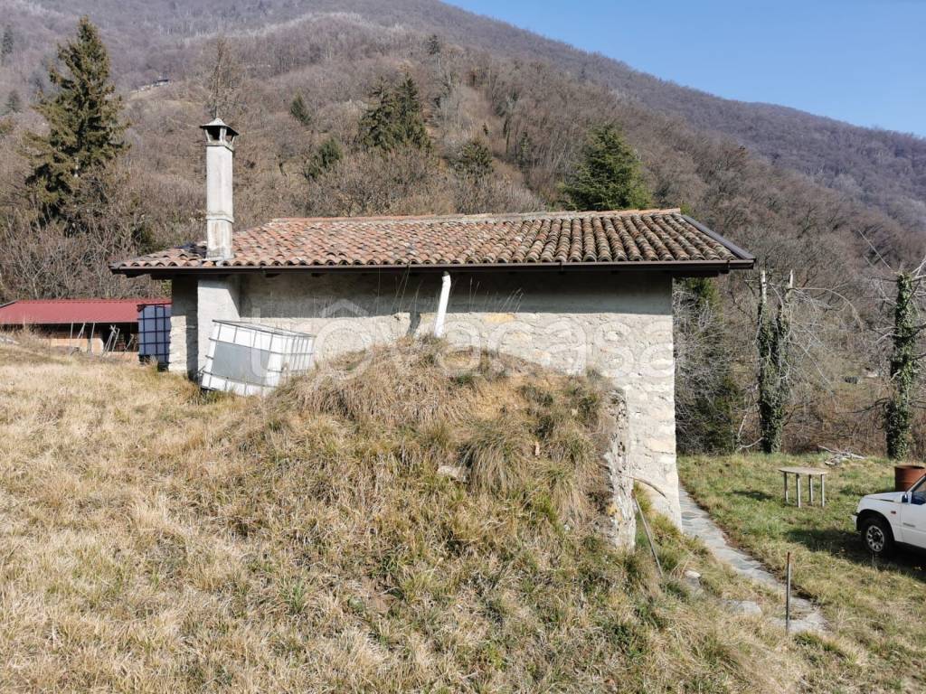 immagine annuncio 2 di 6