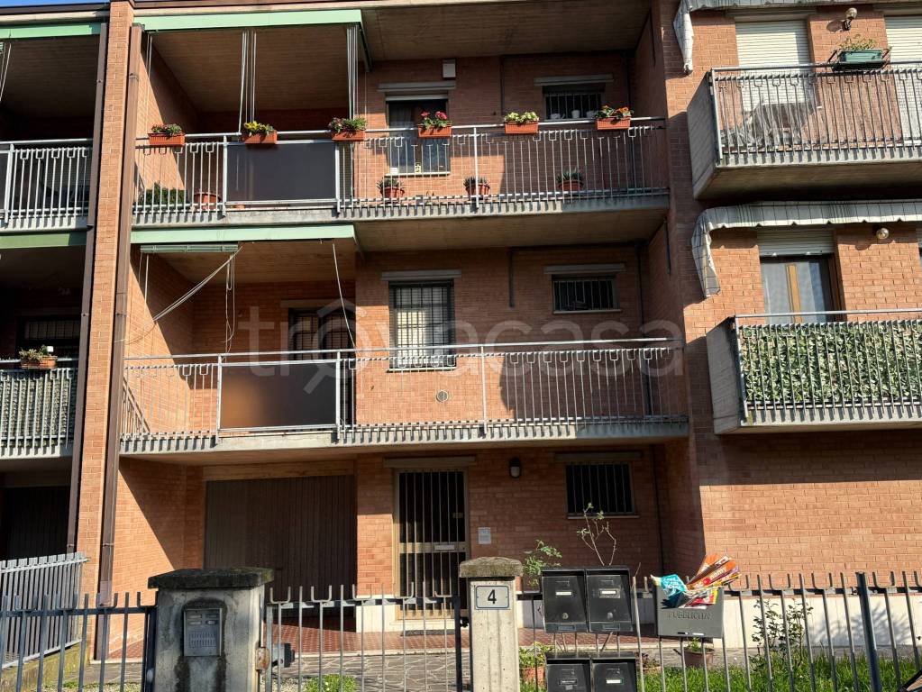 immagine annuncio 3 di 15