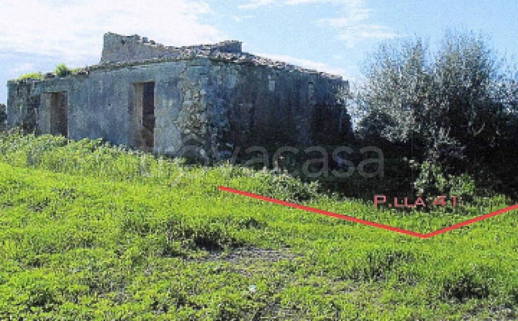 immagine annuncio 3 di 11