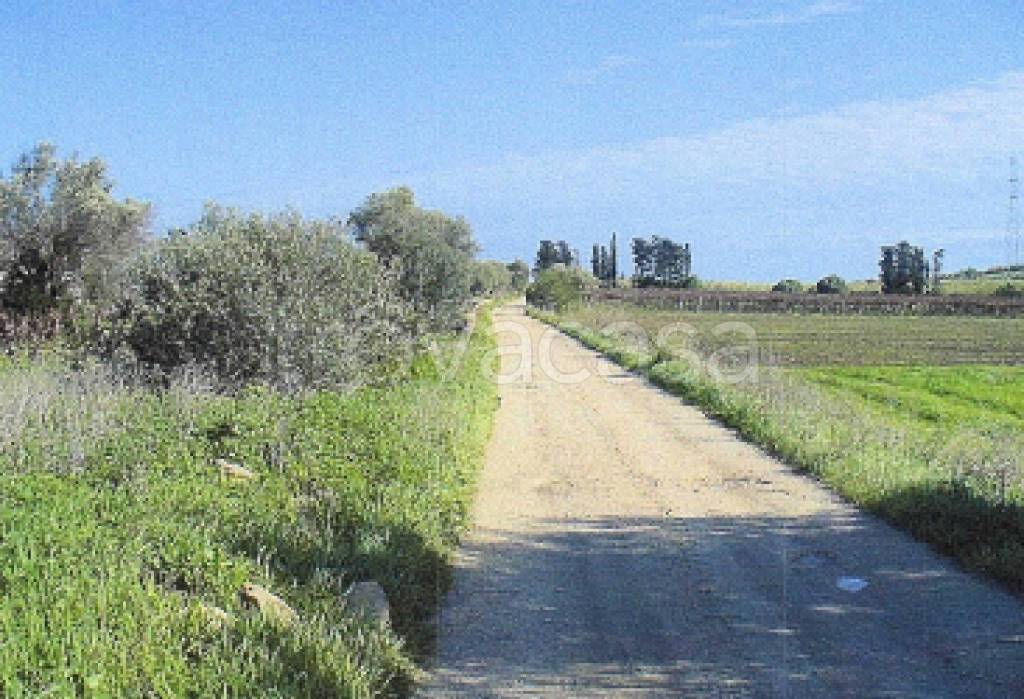 immagine annuncio 6 di 11
