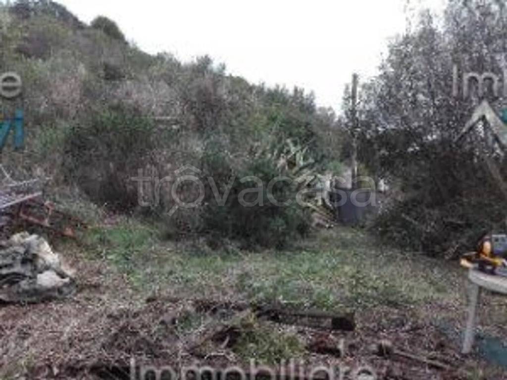 immagine annuncio 3 di 7