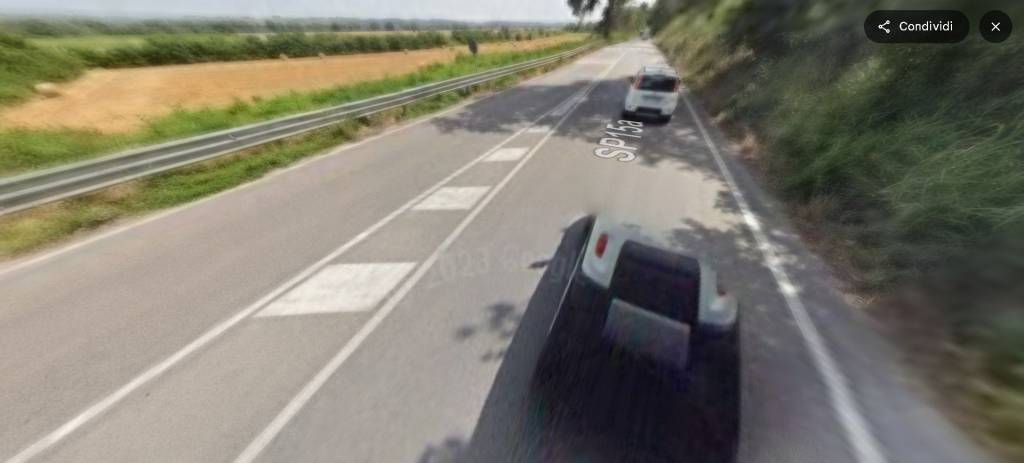 immagine annuncio 4 di 14