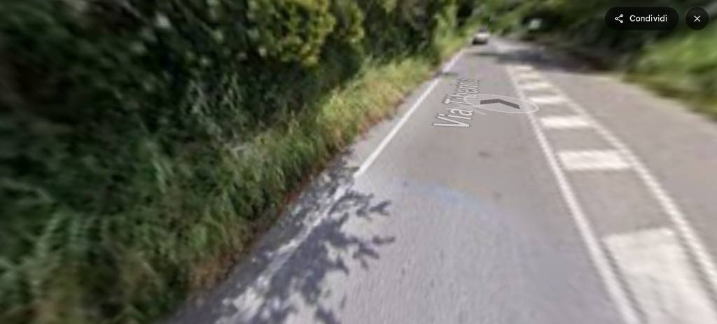 immagine annuncio 9 di 14