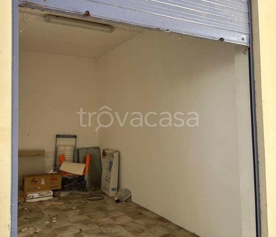 immagine annuncio 5 di 11