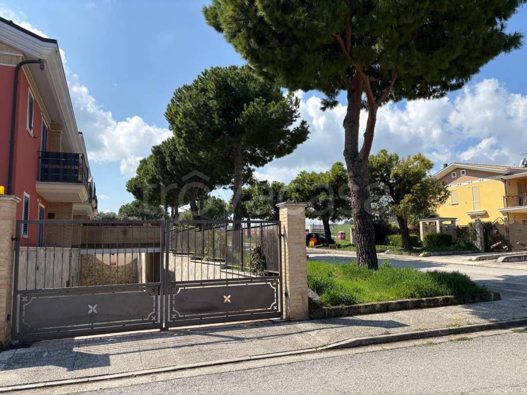 immagine annuncio 8 di 11