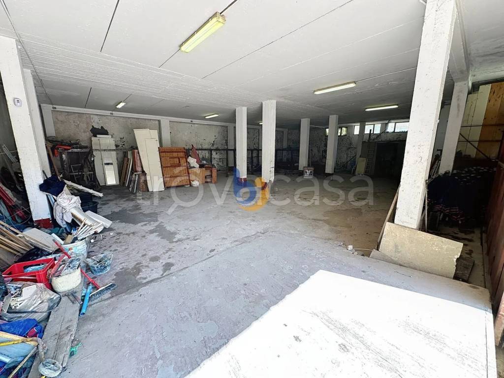 immagine annuncio 2 di 13