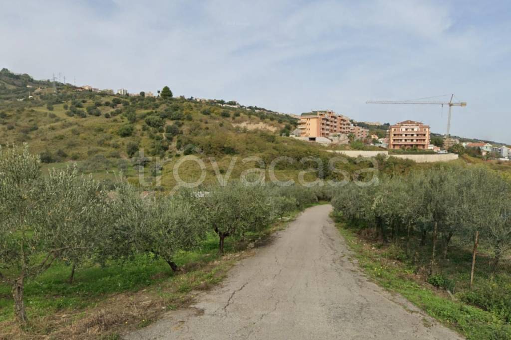 immagine annuncio 2 di 10