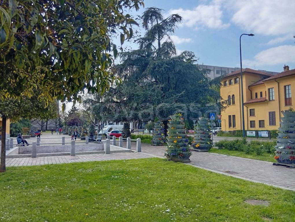 immagine annuncio 9 di 12