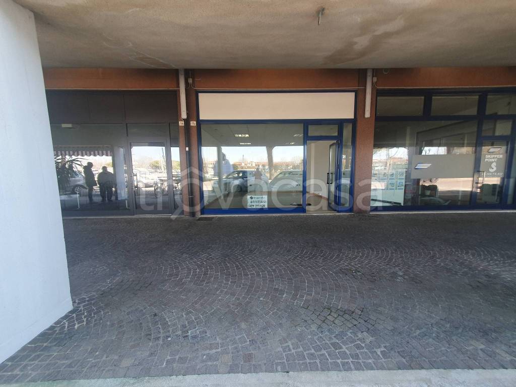 immagine annuncio 2 di 13
