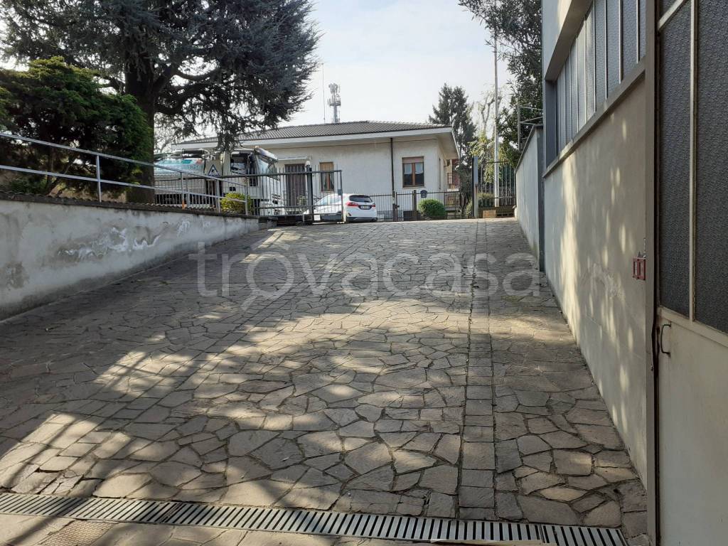 immagine annuncio 3 di 15