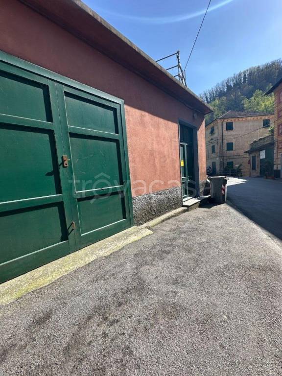 immagine annuncio 5 di 6