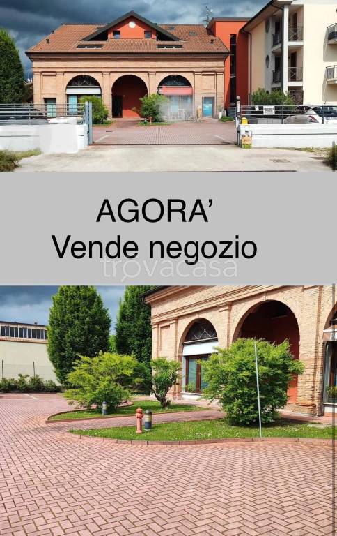 immagine annuncio 1 di 4