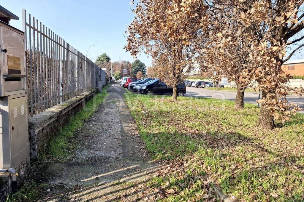 immagine annuncio 5 di 15
