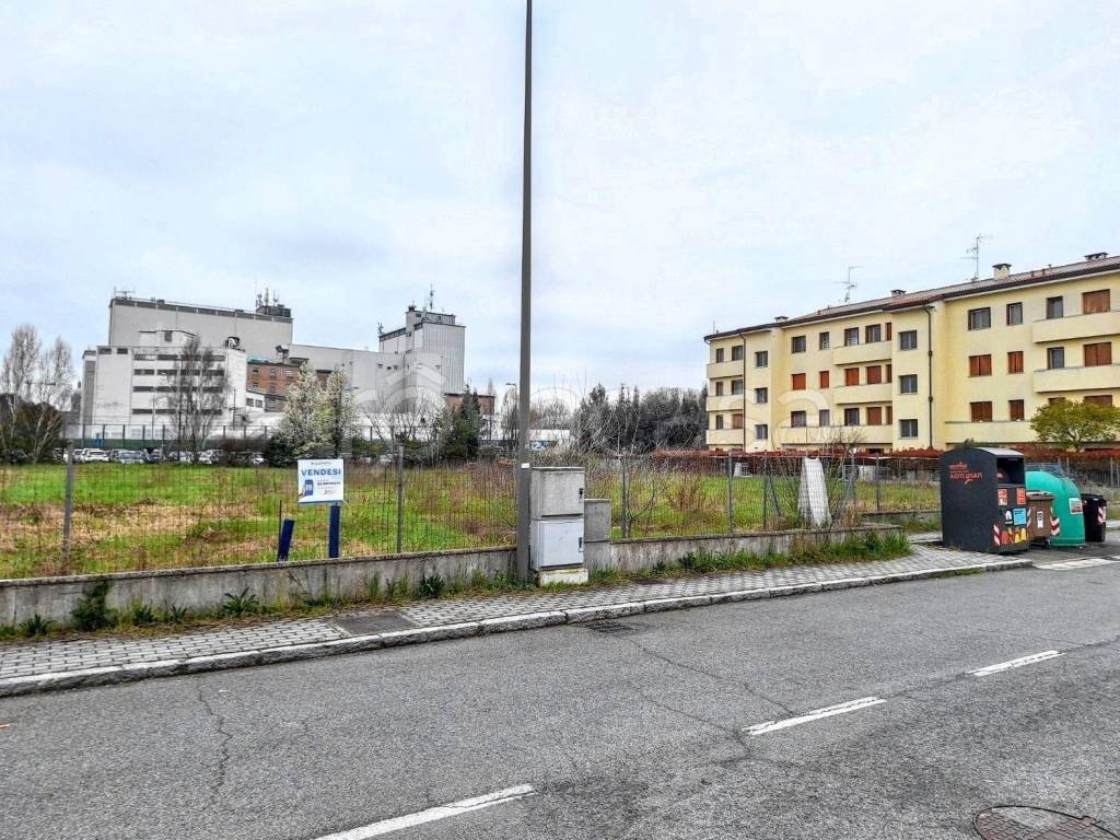 immagine annuncio 3 di 15